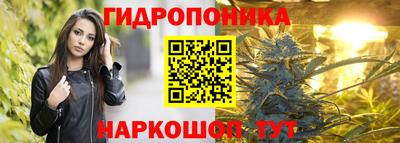 шишки Канаш